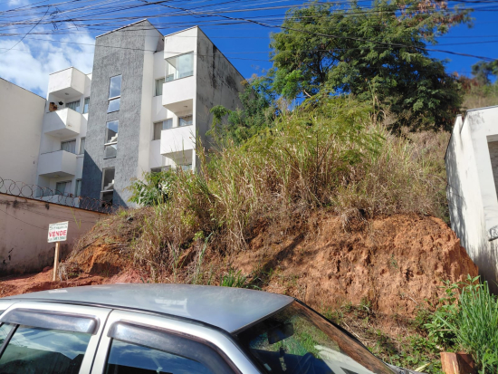 Lote
